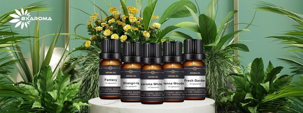 Quality Electric Scent Diffuser Machine factory