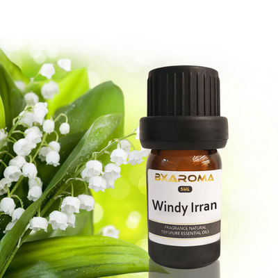 Buy Ilan Aroma Diffuser Essential Oil Sustainable Car Air Freshener Fragrance 500ml online manufacture